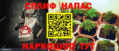 гашик Севастополь