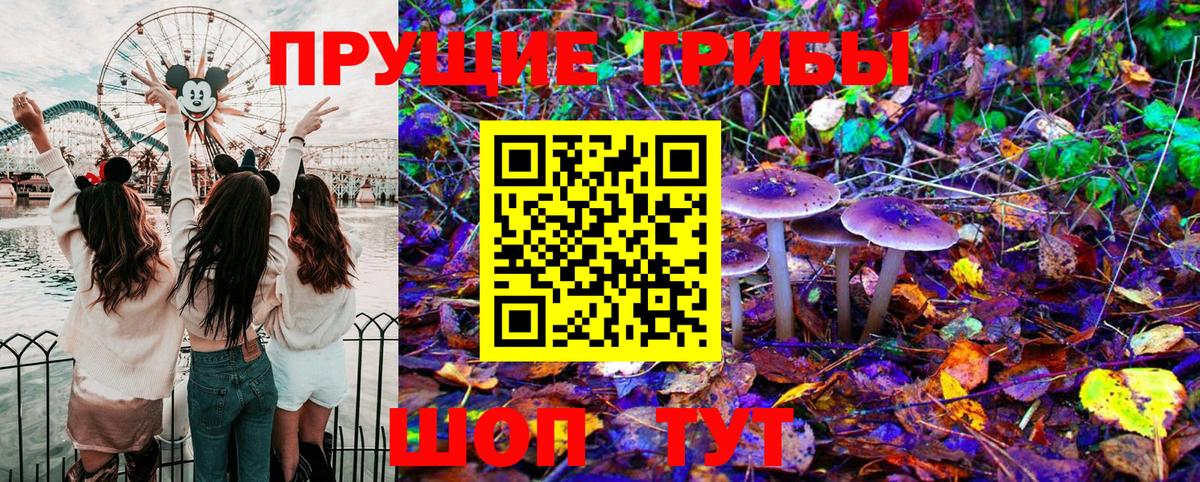 Псилоцибиновые грибы ЛСД  Вход с VPN  Галлюциногенные грибы Magic Shrooms  хочу   Отрадный 