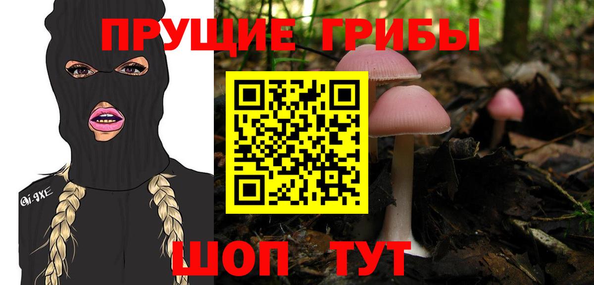 Галлюциногенные грибы Psilocybine cubensis Отрадный